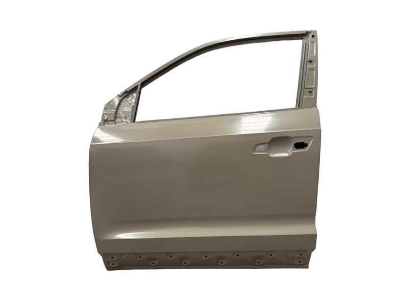 FRONT DOOR FOR CS55 P